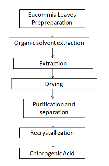 Chlorogenic acid powder flow chart